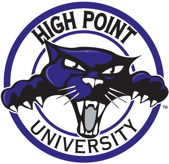 High Point Panthers 2004-2011 Alternate Logo v3 iron on transfers for clothing